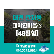 대전 서구 관저동 대자연마을아파트 48평형 법원경매