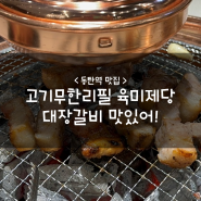 동탄역 맛집 :: 고기무한리필 육미제당 대장갈비 맛있어!
