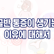 골반 통증이 생기는 이유에 대해서