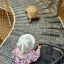 24개월 아기랑 6월에 가기 좋은 대구 근교 동물원 네이처파크