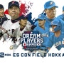 훗카이도 여름축제 및 2024 한국 VS 일본 야구 드림플레이어즈