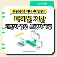 [서울시 디지털 특화] 비전공자도 참여가능! 파이썬 기반 개발자 입문 브릿지 과정, 웹/앱 개발자 분야