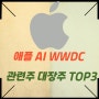 애플 AI WWDC 관련주 대장주 TOP3