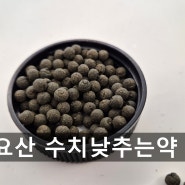 요산수치 낮추는 약 영양제 어떤 것을 먹어야 할까?