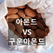 구운아몬드 칼로리 및 효능! 생아몬드와 무슨 차이가 있을까?