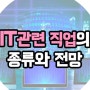 IT 직업군 소개 및 전망