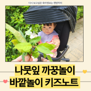 19개월아기 엄마표 나뭇잎 까꿍놀이 바깥놀이 키즈노트 꿀팁