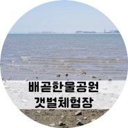 시흥 아이랑 가볼만한 곳:: 배곧한울공원 갯벌체험장