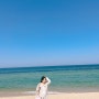 [강릉] 엄마의 첫 강원도- 모녀 강릉 뚜벅이 당일치기