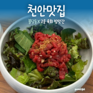 [천안맛집] 불당동 육회비빔밥 1만원 천안시청맛집 ‘고운육회방앗간’