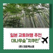 일본여행추천편- 교토여행,란덴열차탑승,대나무숲 치쿠린에서 힐링하기!