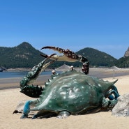 군산 선유도해수욕장