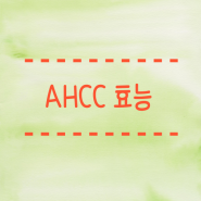 AHCC 효능 면역력을 높이는 비밀 연구결과정리