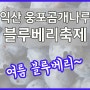 웅포 블루베리 축제 익산 가볼만한 곳 웅포곰개나루