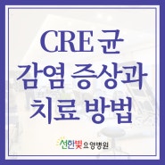 감염병 CRE 균 감염 증상과 부위 치료 방법