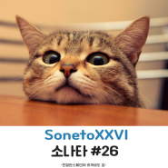 스페인어로 시 읽기 SonetoXXVI (소네트 26)_Pablo neruda_빠블로 네루다