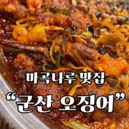 마곡나루 맛집! 군산오징어! 오징어 맛집은 처음이야!