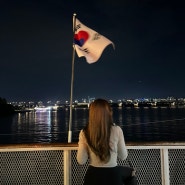 ( 무료 주차 tip ) 이크루즈 총정리 : 서울 여의도 한강 유람선 에서 기념일 데이트 코스