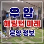 우암 해링턴 마레 남구 우암동 북항조망 잔여세대 효성 모델하우스