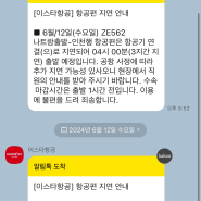 카카오페이 손해보험 항공지연 보장 못 받은 경우