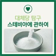 스테비아 뜻 성분 효능 섭취 주의점 총정리