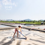 시흥 갯골생태공원 염전체험과 소금 놀이터