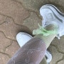 오니뗄라(onnitella) sheer ribbon socks(green) 착용 후기 | 귀여운 양말 추천