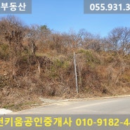 1-293. [합천부동산 임야] 합천군 용주면 넓은 도로에 접한 개발하기 좋은 임야 매매 [합천임야 합천땅 합천토지]