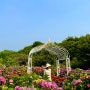 경기도 광주 율봄식물원 입장료 주차 수국 명소 만개 농장체험
