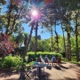 [유럽 스페인 지중해 여행/호텔] 호텔 테르메스 몬트브리오 숙박후기 / 대저택 같은 정원이 있는 웰니스 휴양 리조트 호텔 / 바르셀로나에서 남서쪽으로 차로 90분 거리(130km)