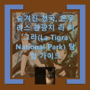 숨겨진 천국, 온두라스 관광지 라 티그라(La Tigra National Park) 탐험 가이드