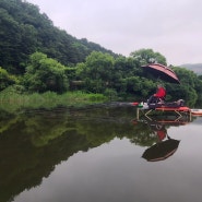 춘천댐 고탄 포인트 붕어낚시 나가봅니다