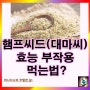 햄프씨드 효능 부작용 대마씨 영양성분 칼로리: 먹는법은?