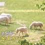 2장1절 이천 청년농부 미미사진관 경찰관 청초원 승마장