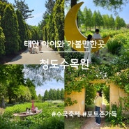 태안 몽산포해수욕장 근처 가볼 만한 곳, 청산수목원(청수국축제, 입장료)