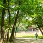서울근교 가볼만한곳 산책하기 좋은 구리 동구릉 조선왕릉 숲길