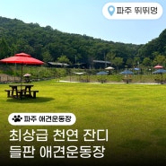 천연잔디가 있는 파주 애견운동장 뛰뛰멍