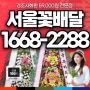 서울 강남구 개업화분 화환 꽃배달 전문업체