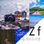 [니콘 풀프레임 미러리스 카메라 Zf] 6월 제주도 여행 & 여름 기록 with COOLPIX 이벤트