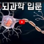 뇌과학(신경과학) 입문 15분 정리 : 북툰