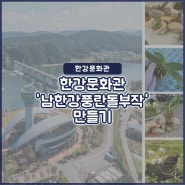 [한강문화관]남한강 풍란 돌부작 만들기