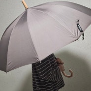 초등학생 우산 사이즈 적당하고 튼튼한 미치코런던 장우산 추천