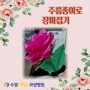 [수영나라요양병원/부산요양병원] 종이접기로 장미꽃 접기