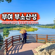 부여 부소산성 낙화암 입장료 백마강 고란사 황포돛배 유람선 후기