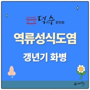 갱년기 화병 역류성식도염 가슴 등 얼굴 화끈거리는 열감