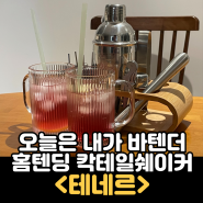 오늘은 내가 바텐더 홈텐딩 칵테일쉐이커 테네르