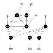 plspm Two stage interaction effect process, pls구조방정식 잠재변수에서의 조절효과 분석 방법