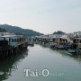 홍콩힐링여행지 - 란타우섬 타이오어촌마을(Tai O Village)