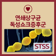 일본 감염병 STSS 뜻 원인 위험성과 치료법