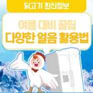 🌤여름 대비 알아두면 좋을 얼음 활용법!